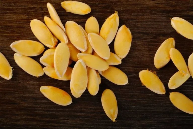 11 amazing benefits of muskmelon seeds