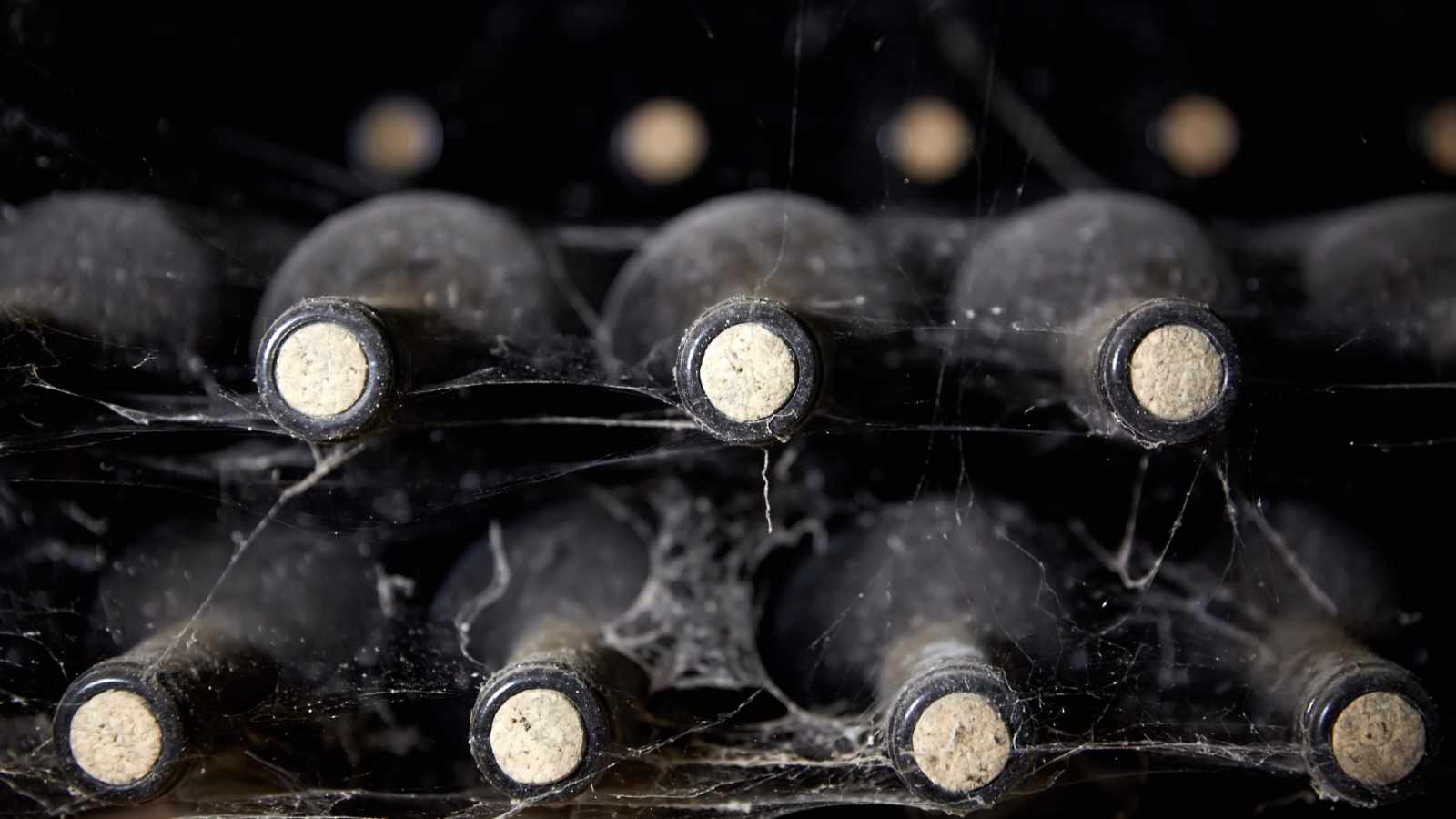 Old wine bottles