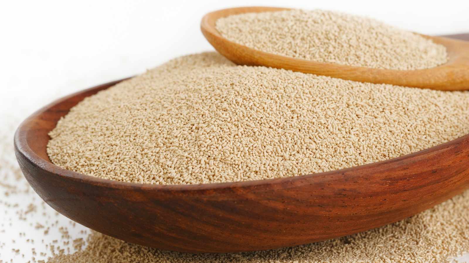 Yeast