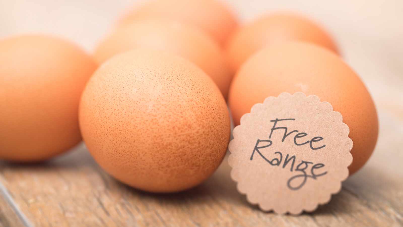 free range eggs