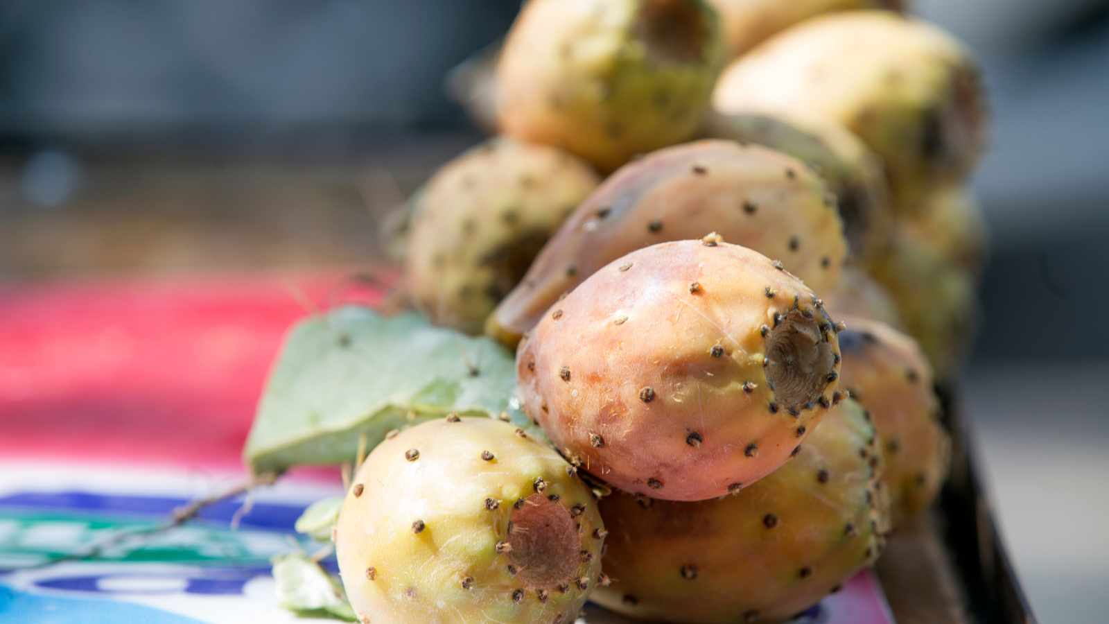Cactus figs