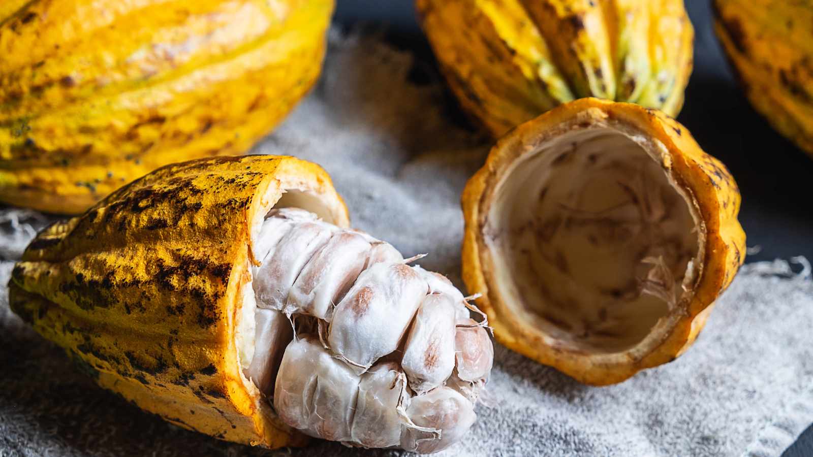 Cocao pod