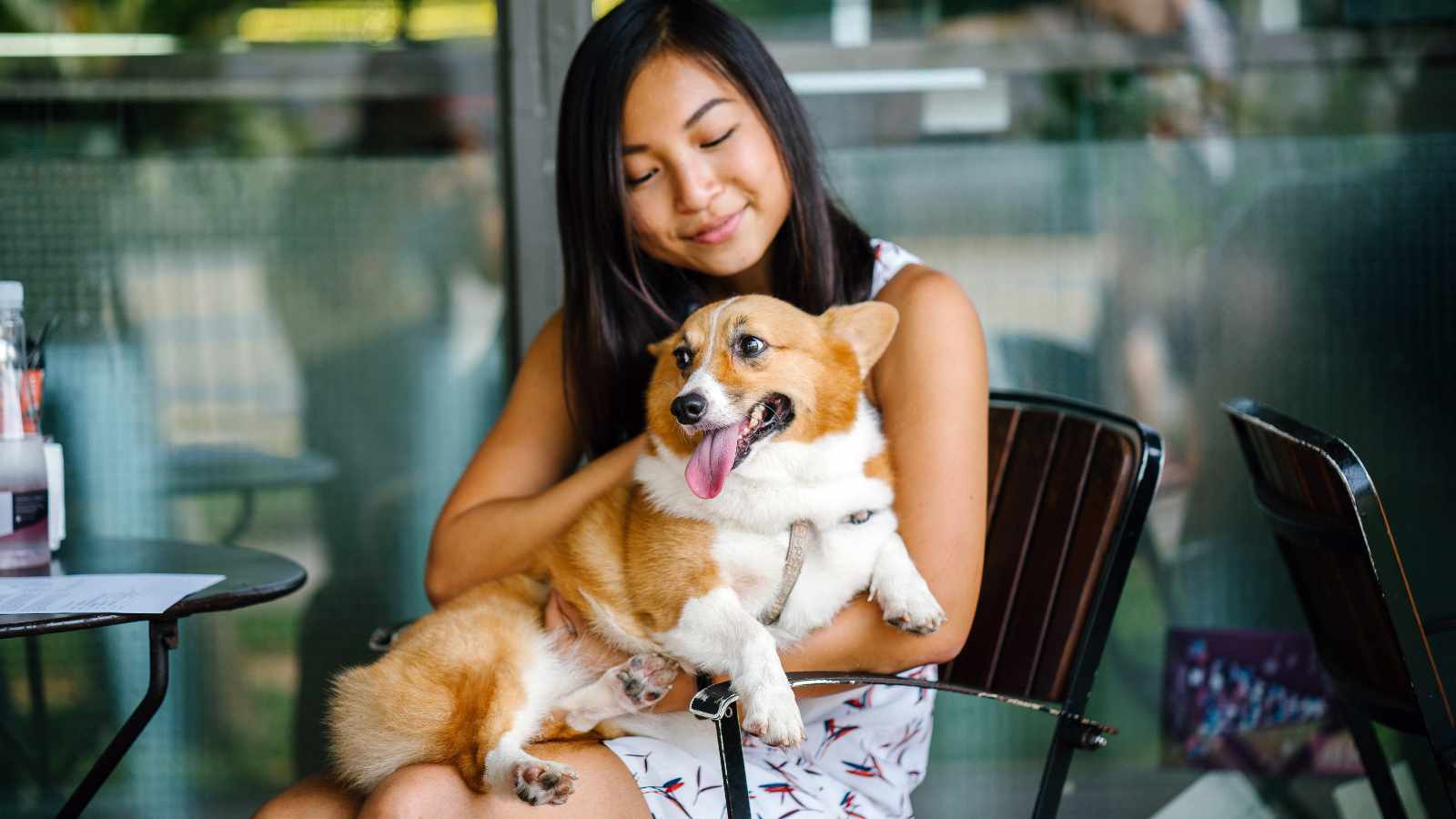 Lady holding a dog in a restaurant
