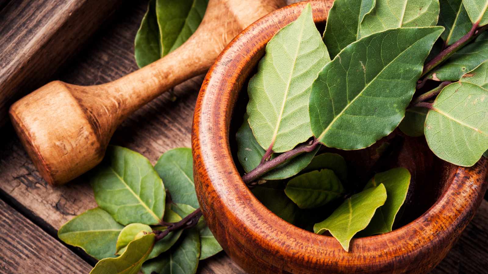 Bay leaves
