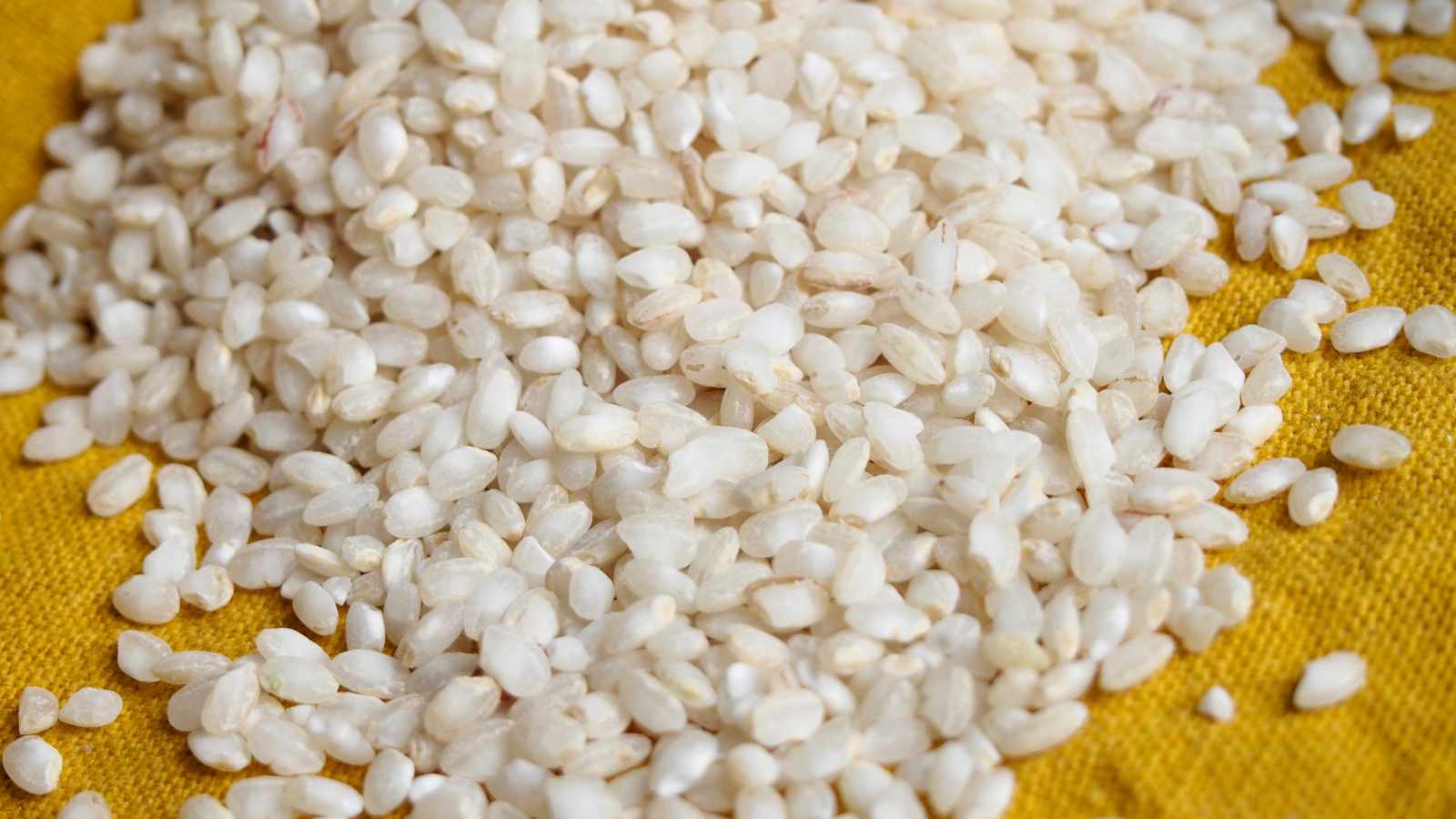 Bomba Rice