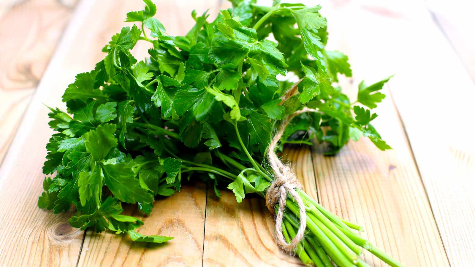 Fresh Parsley