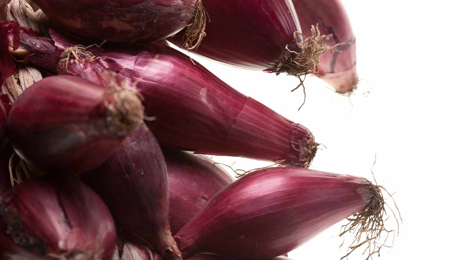 Rosa Lunga di Tropea Onions