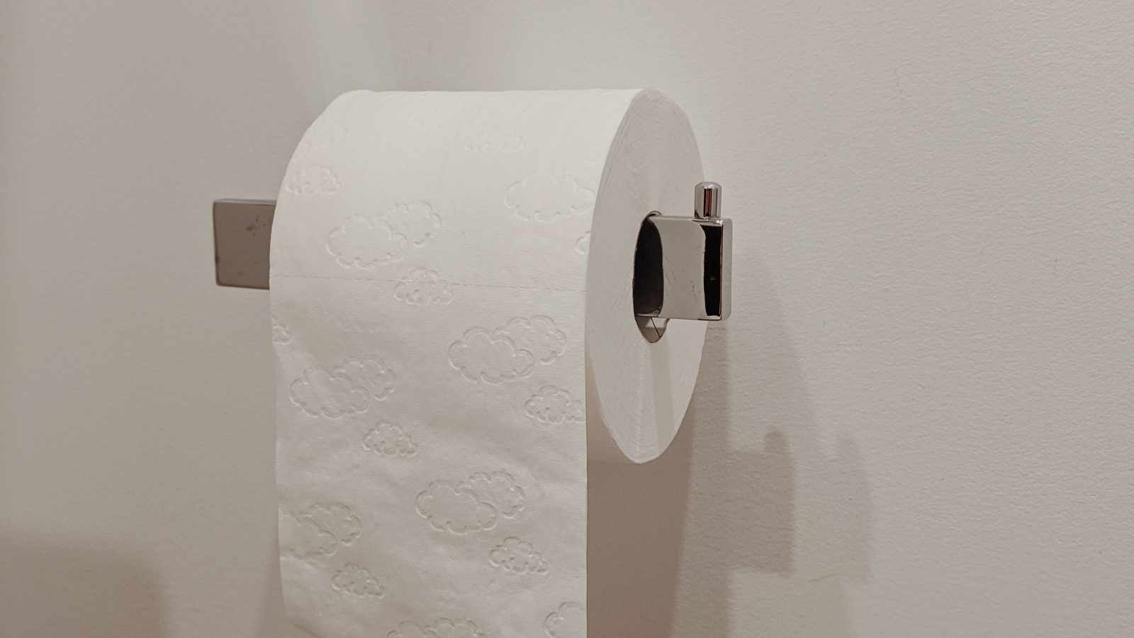 Toilet paper roll