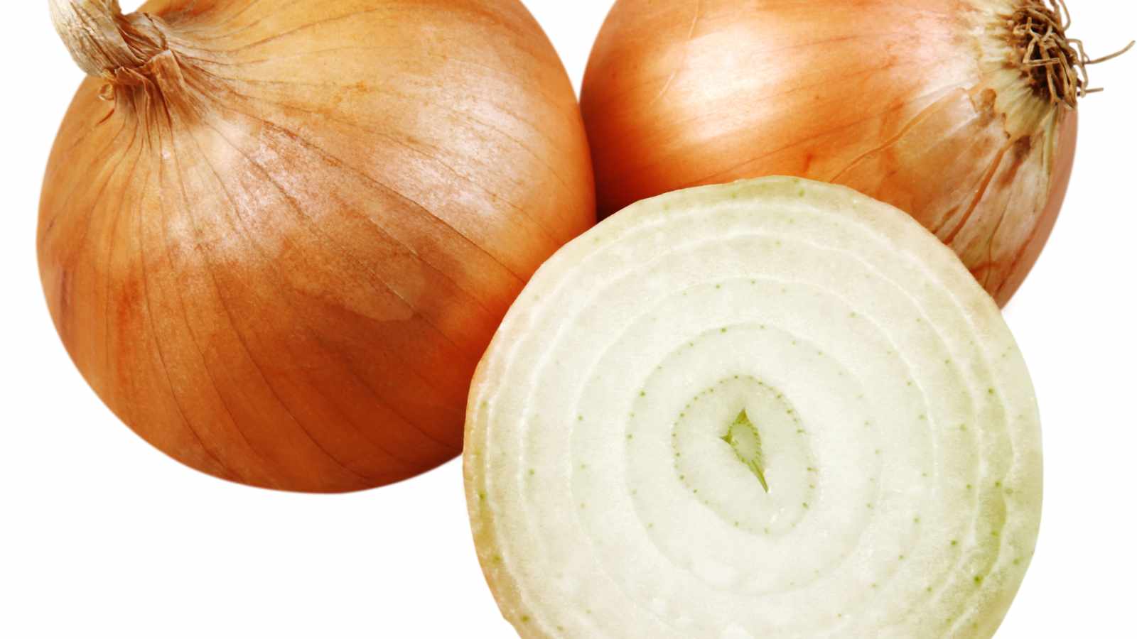 Vidalia Onion