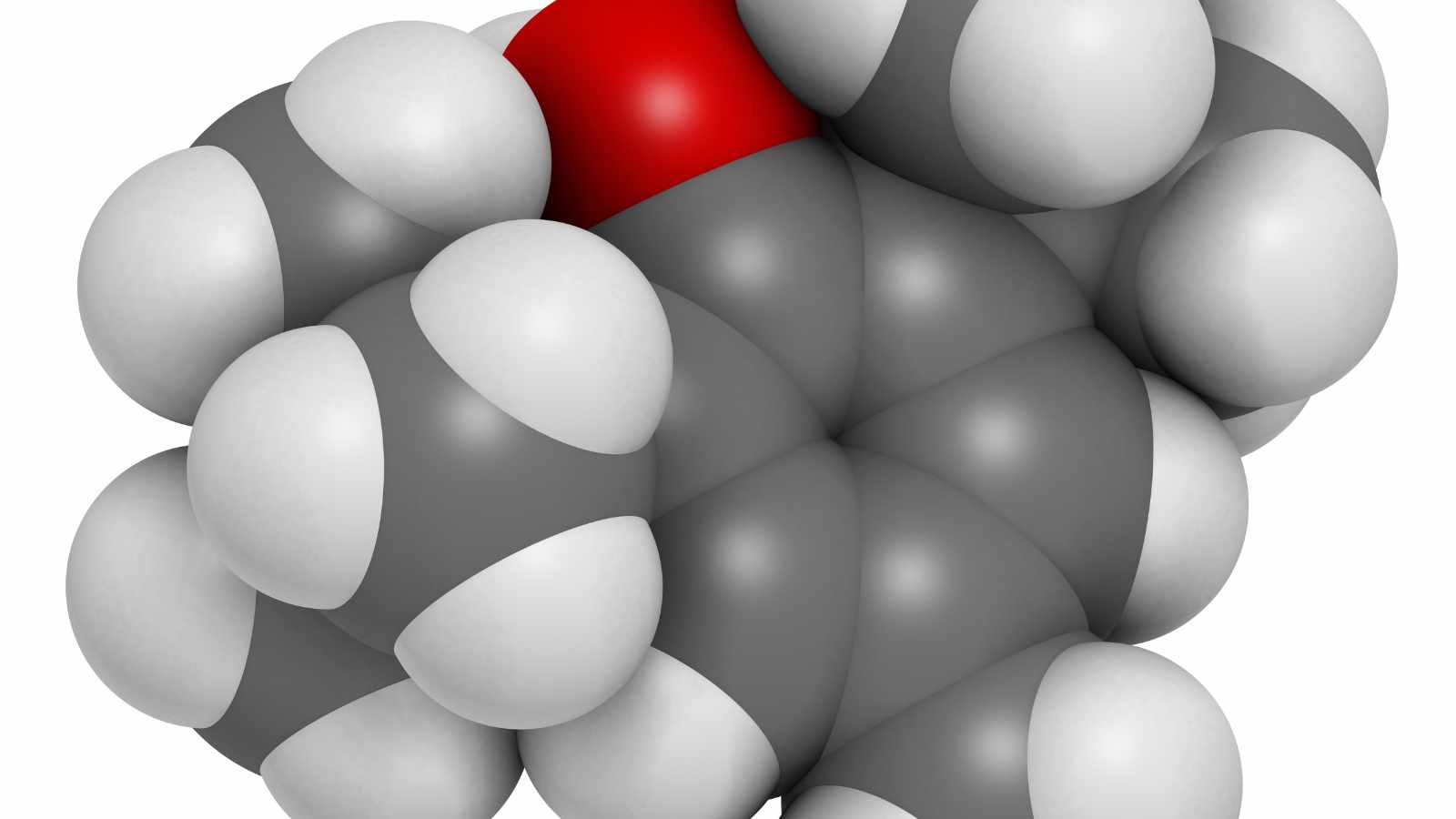 Butylated hydroxyanisole and Butylated hydroxytoluene 1