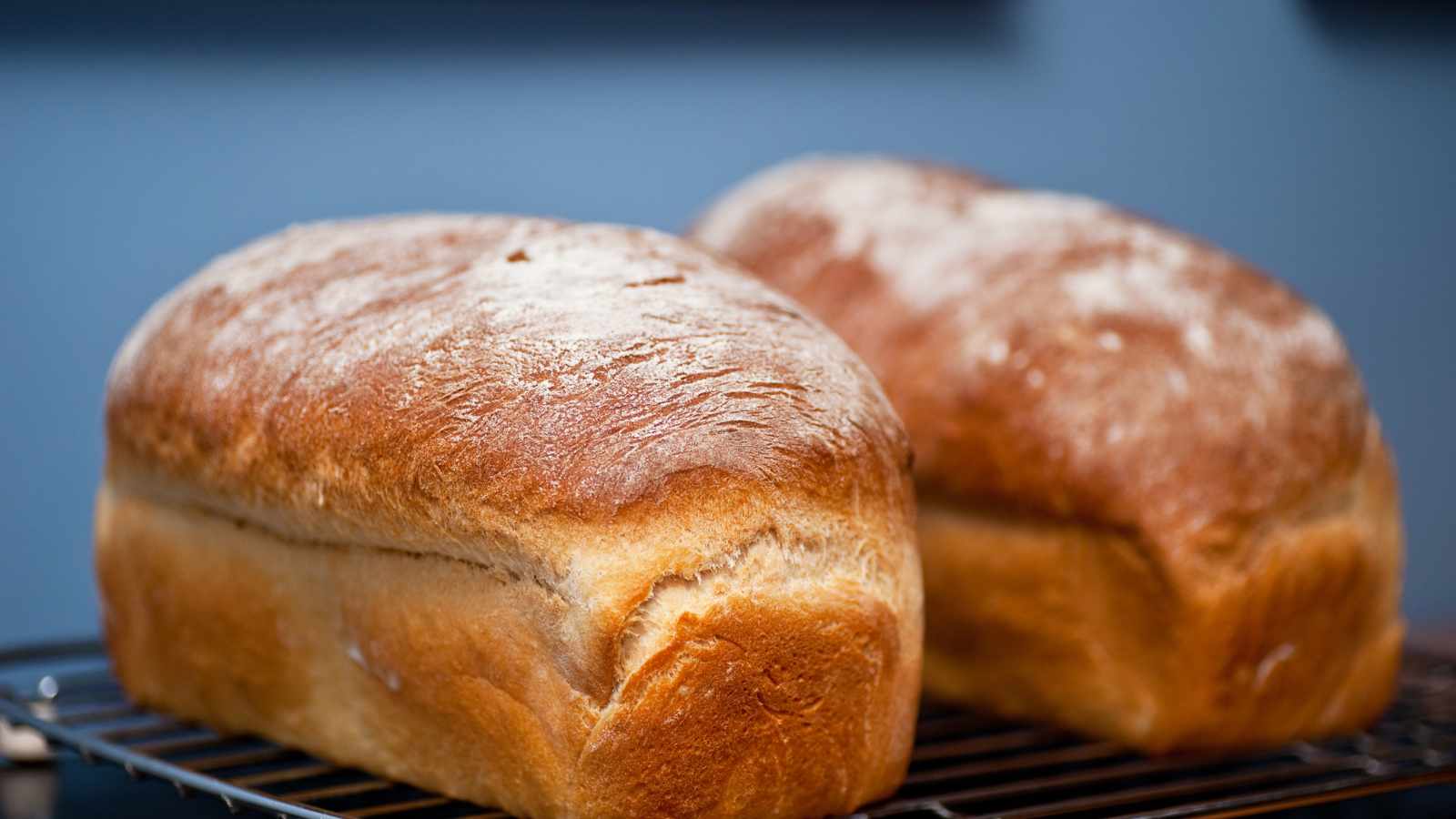 bread