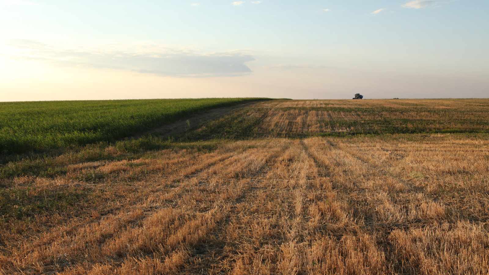 farm