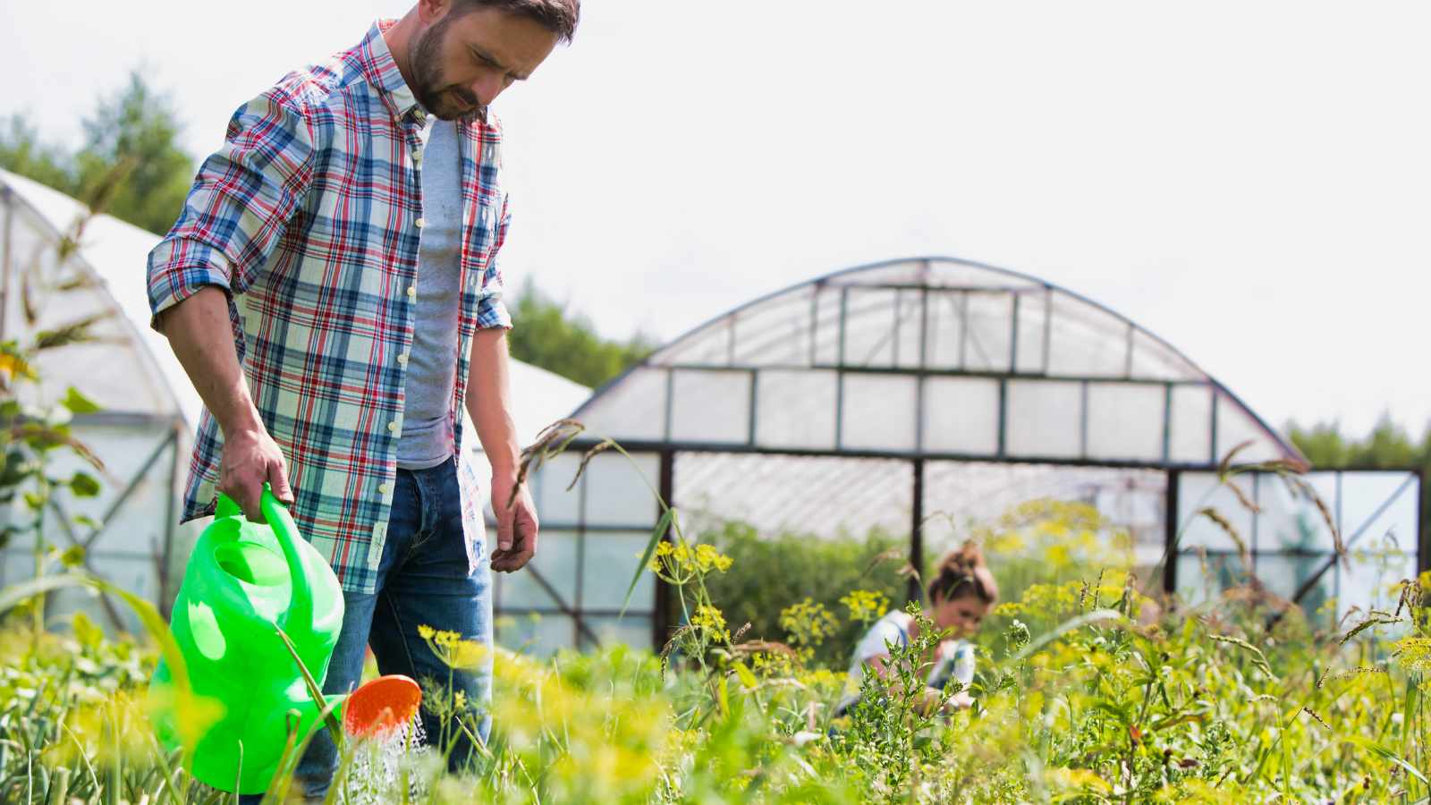 man watering crops