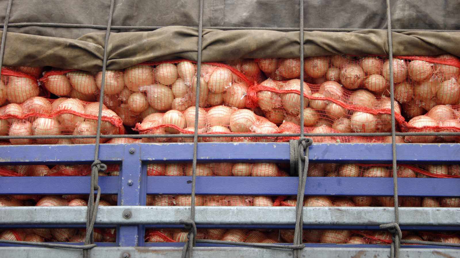 transporting onions