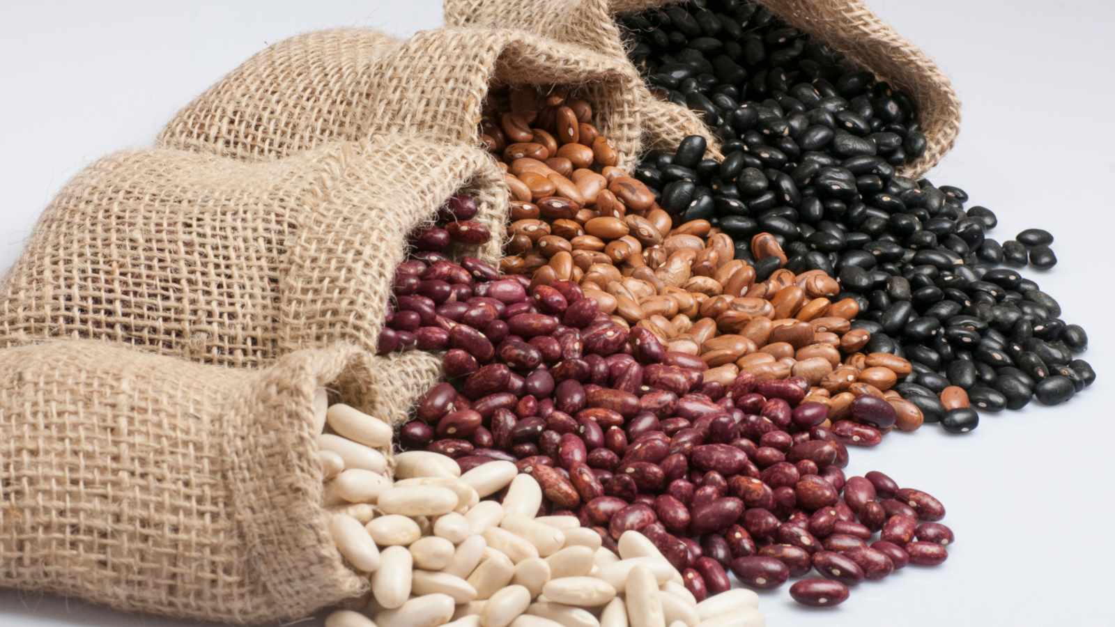 Different types of beans