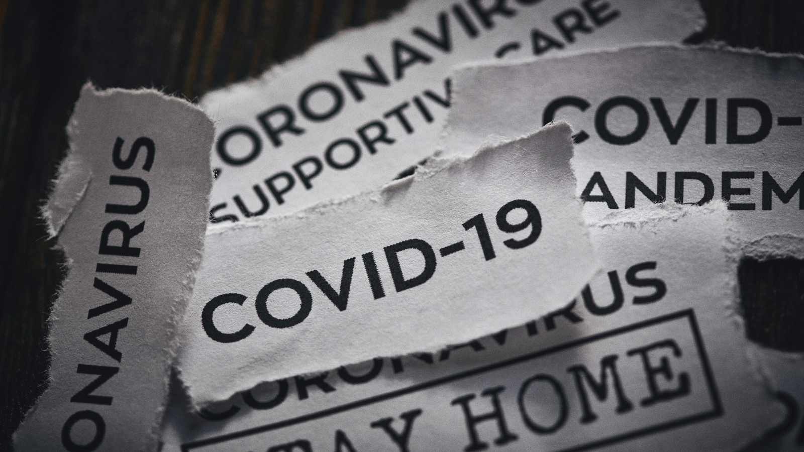 covid 19