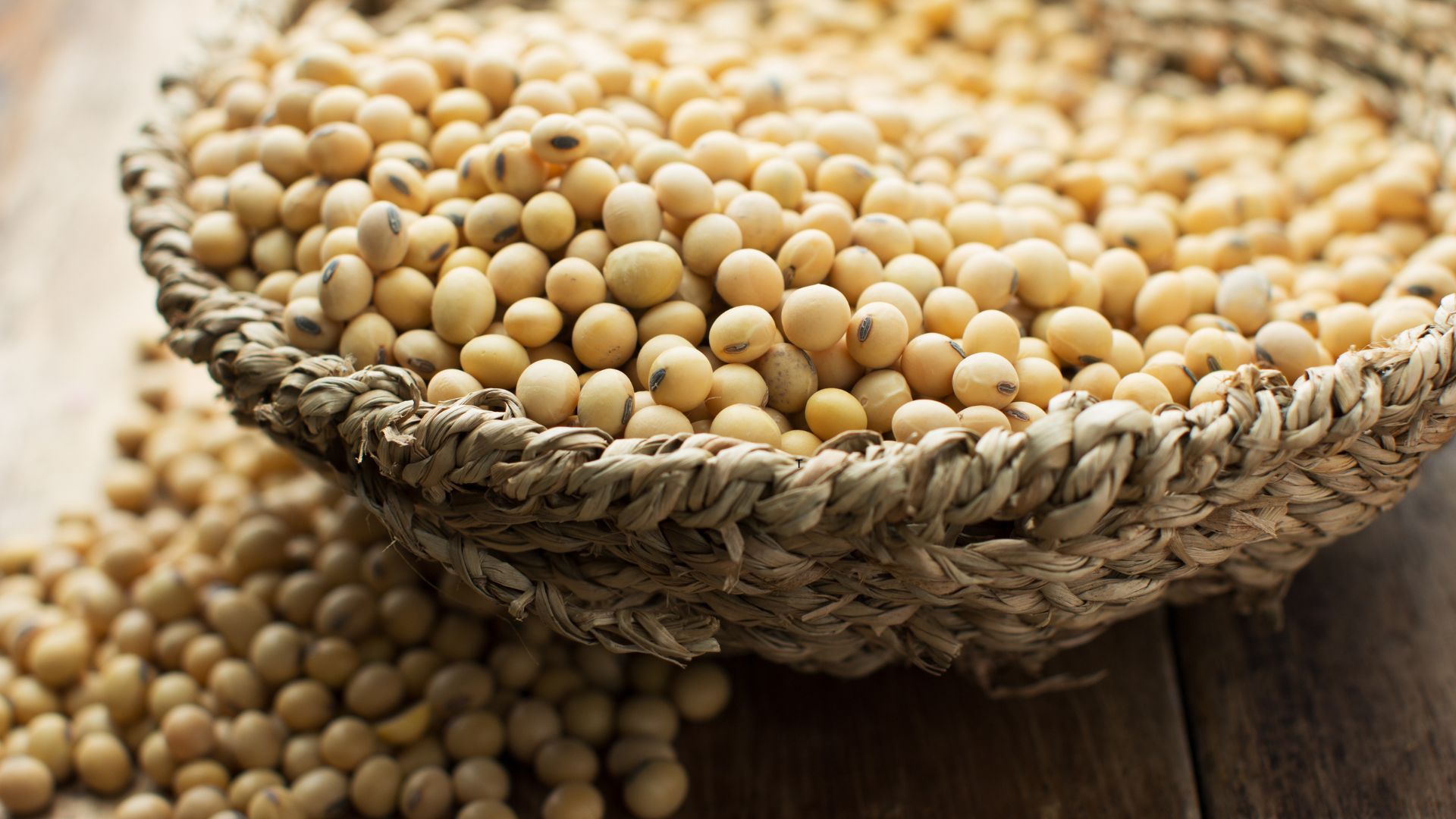 Soy